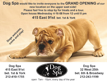 Upper East Side Dog Spa