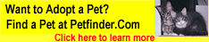 Adopt a Pet at Pet Finders