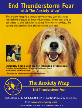 Anxiety Wrap
