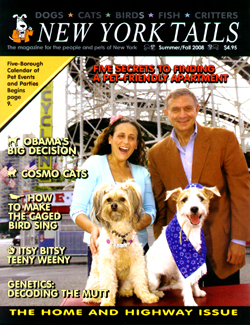 New York Tails Fall Issue