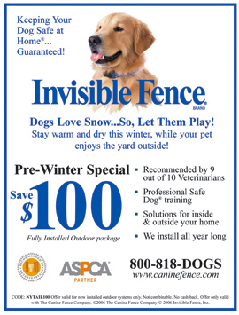invisible fence