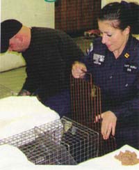 animal caretaker