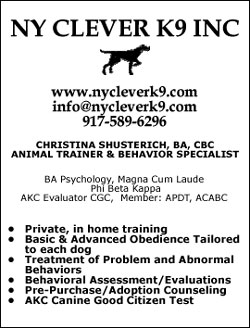 NY Clever K9 Inc