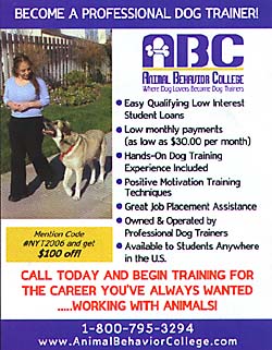 Become a Dog Trainer