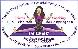 Classes for dogs and their owners