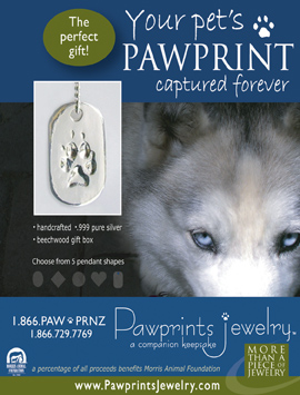 Paw Prints Jewelry