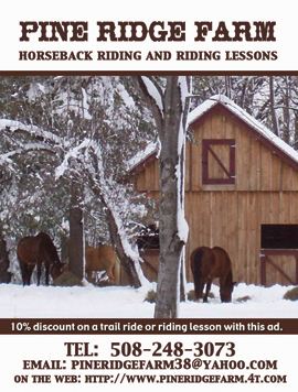Horseback Riding/Lessons
