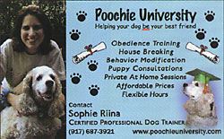 poochie university