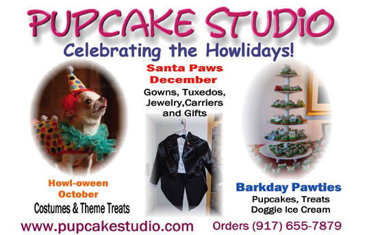 Pupcake Treats and Pet Costumes