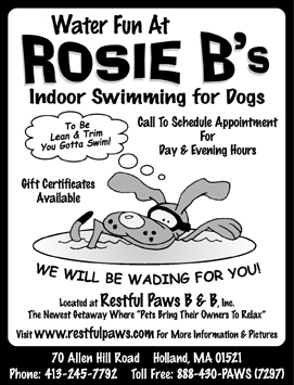 Dog Swimming Resort