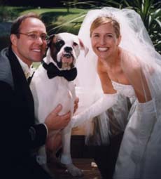 Dog at Wedding